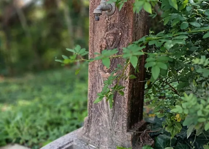 Piccolomini * سيينا