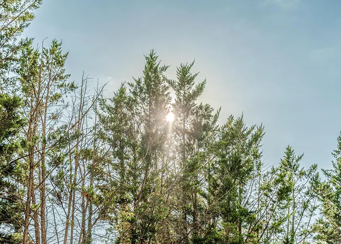 Piccolomini سيينا