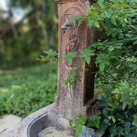 Piccolomini * Сієна